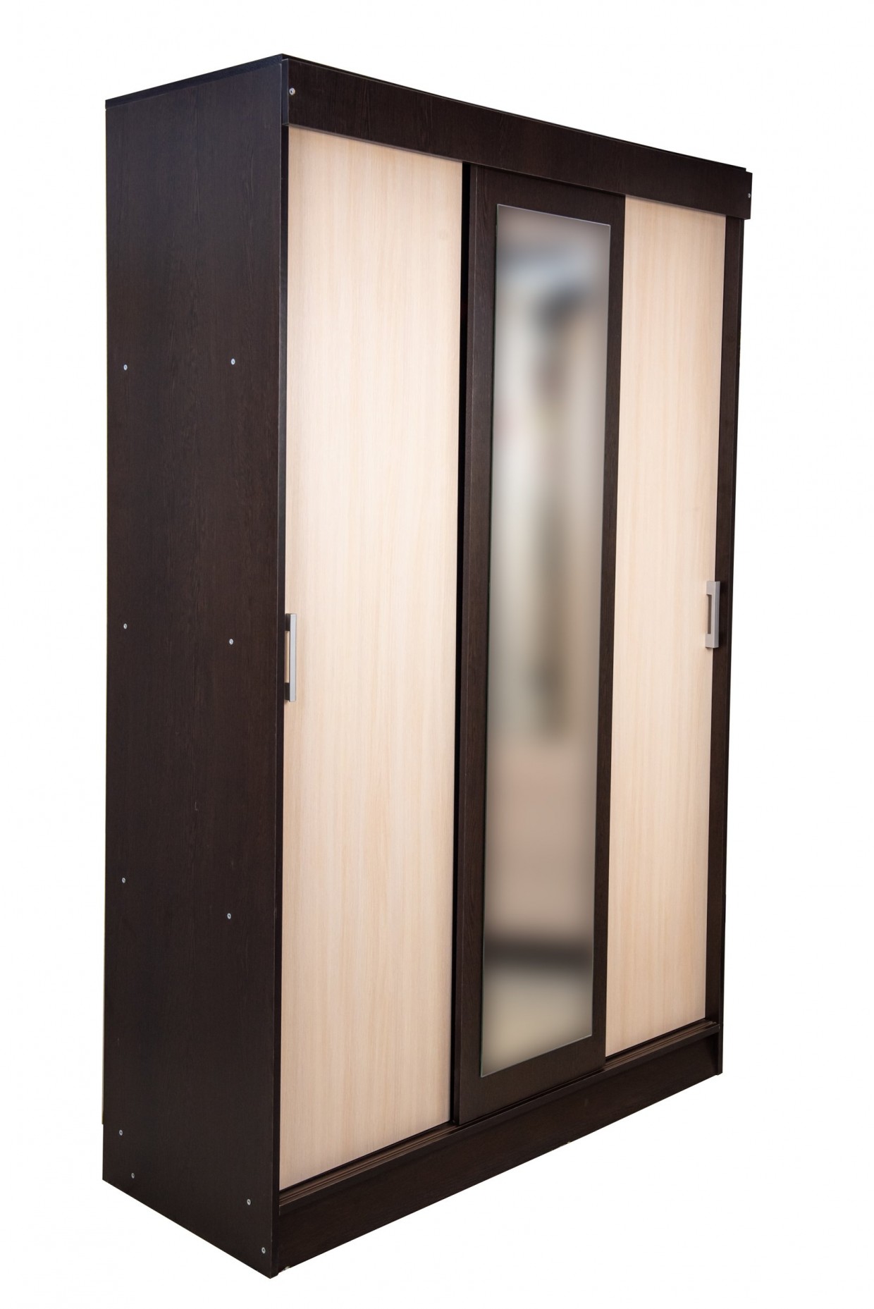 Шкаф-купе "Бася"