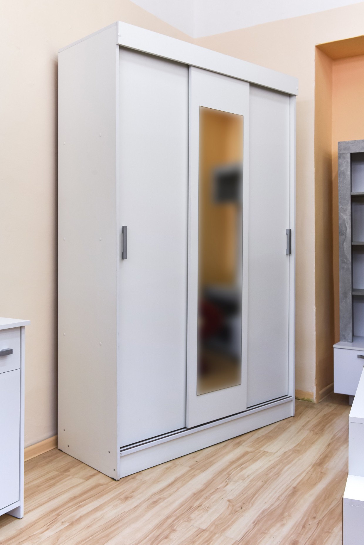 Шкаф-купе Бася Шкаф-купе Бася