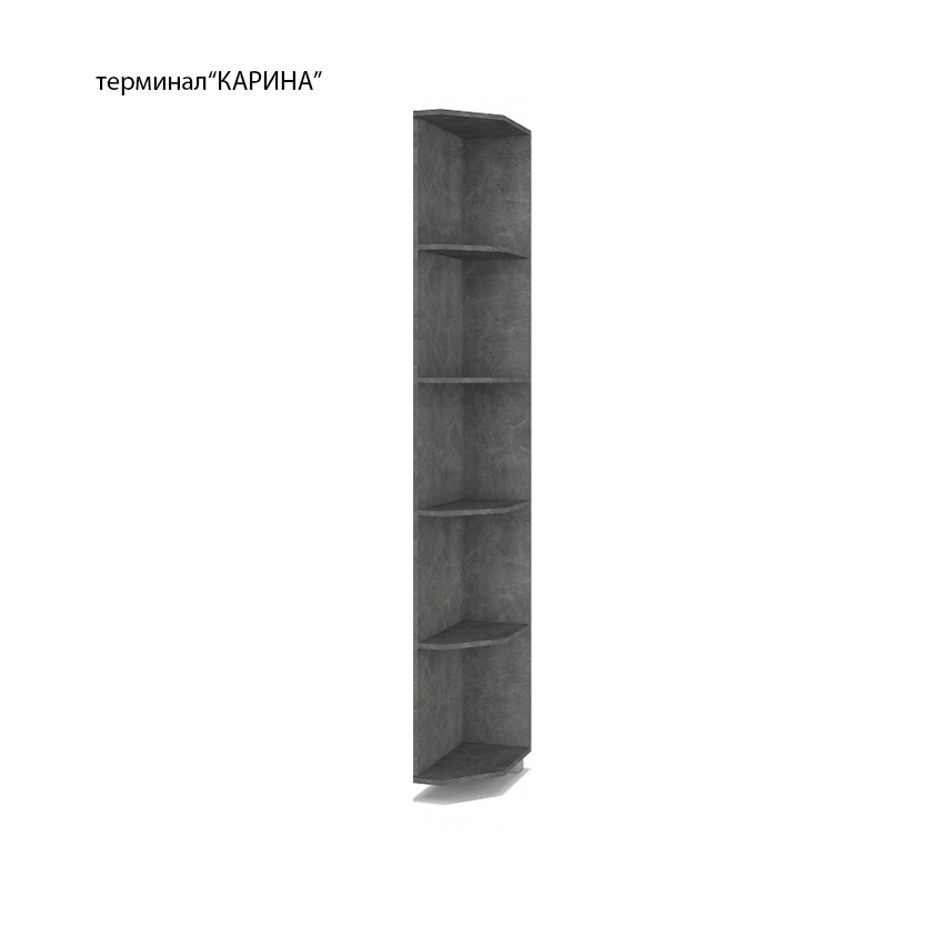 Терминал Карина