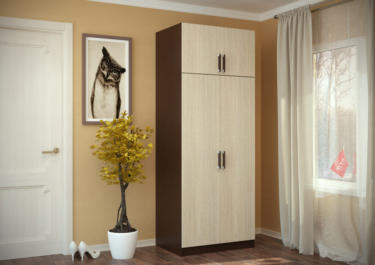 Шкаф 2-х ств с перегородкой