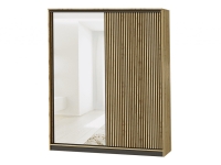 Шкаф-купе АЭЛИТА 0